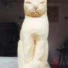 Chat n°3