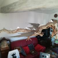 Dragon vu de haut